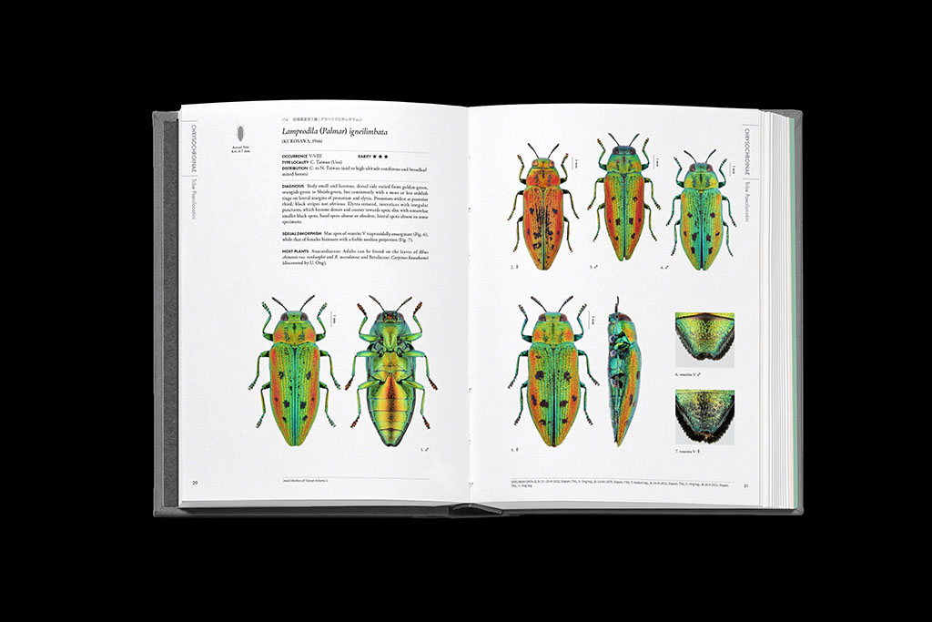 The First Book of Jewel Beetles in Taiwan – Ministry of Beetles 台甲部