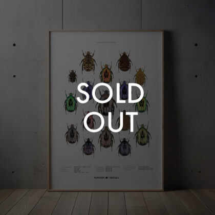 台灣產白點花金龜 - A3海報