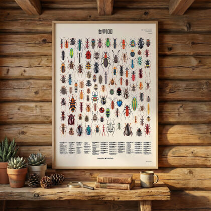 《台甲100｜台灣原生甲蟲 A2 海報｜2026 年特款》